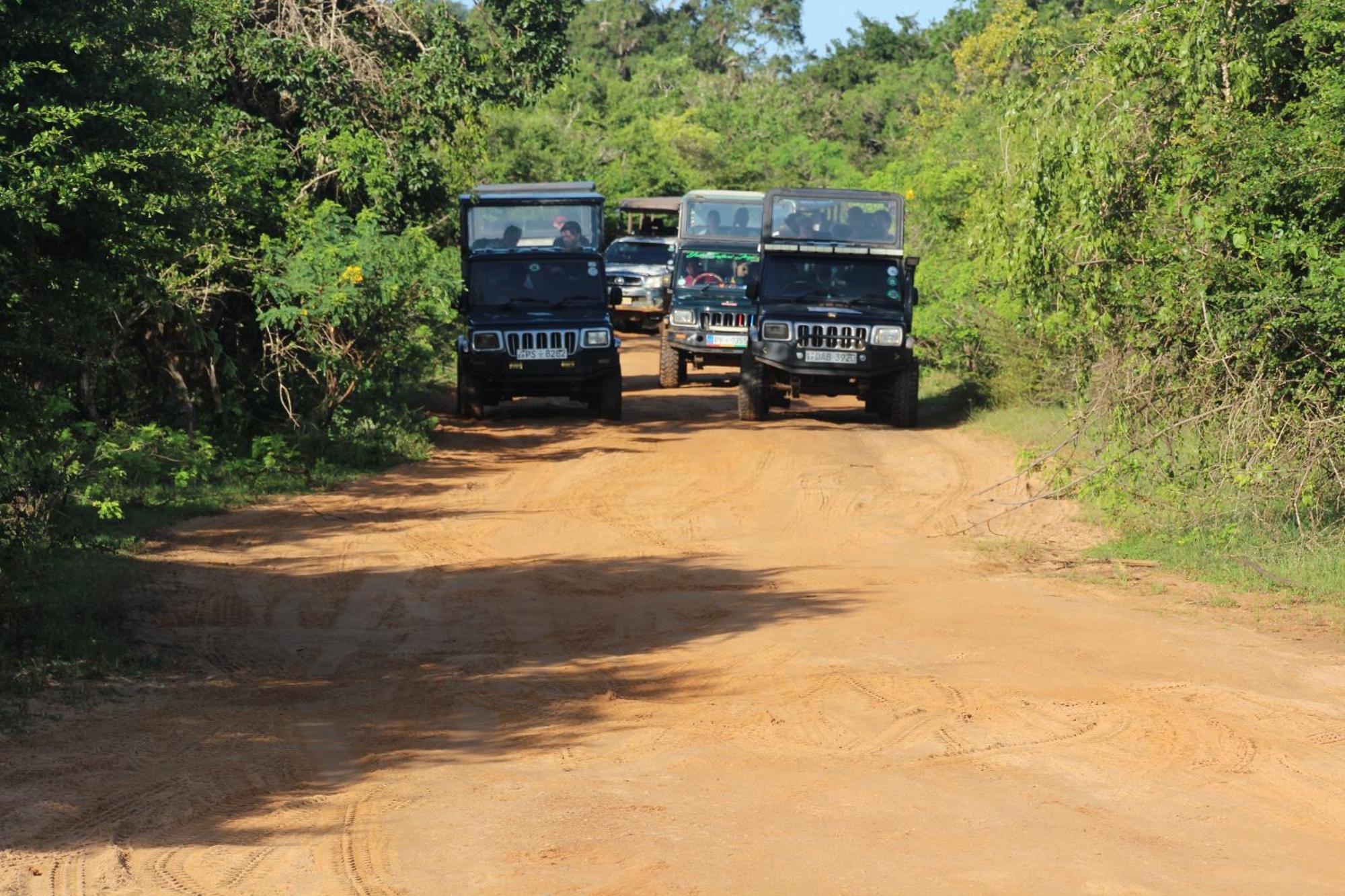 Udara Guest - Yala Safari Villa Exterior photo